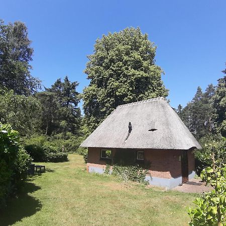 De Hooge Woeste Villa Емст Екстериор снимка